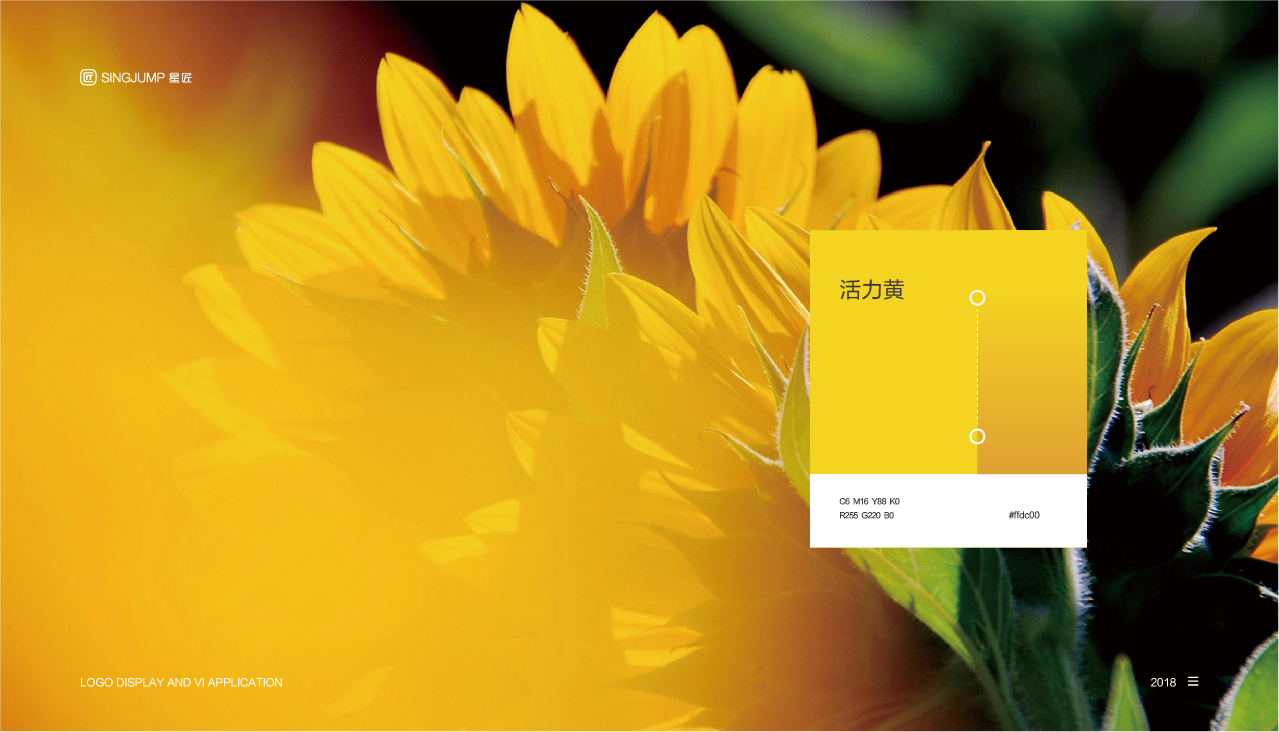 SUNNY EVERYDAY品牌VI设计